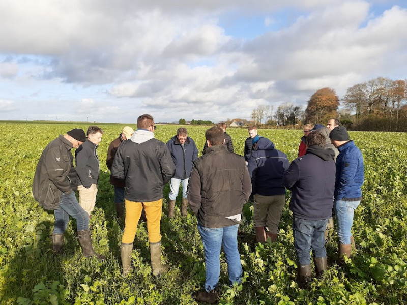 Savoir-utiliser-les-mesures-au-champ-et-favoriser-les-auxiliaires-de-cultures-pour-limiter-les-épandages-de-produits-phyto