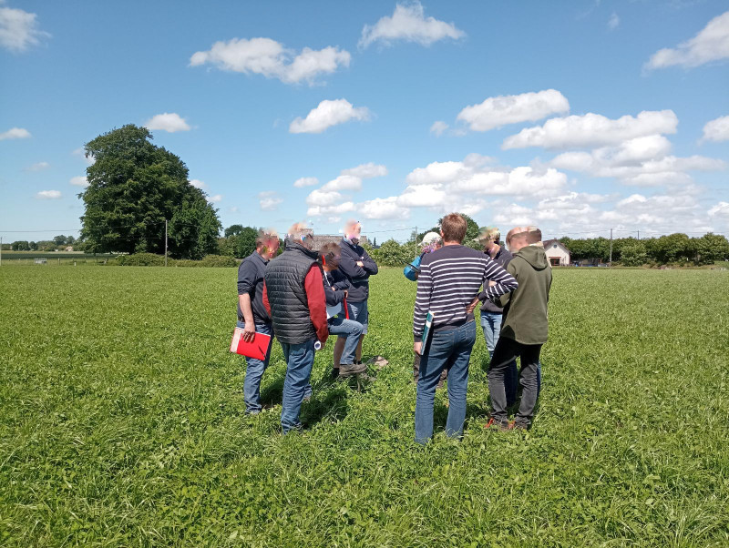 Se situer pour faire progresser son entreprise en Agriculture Biologique